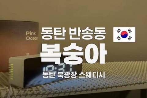 복숭아테라피 (1).jpg