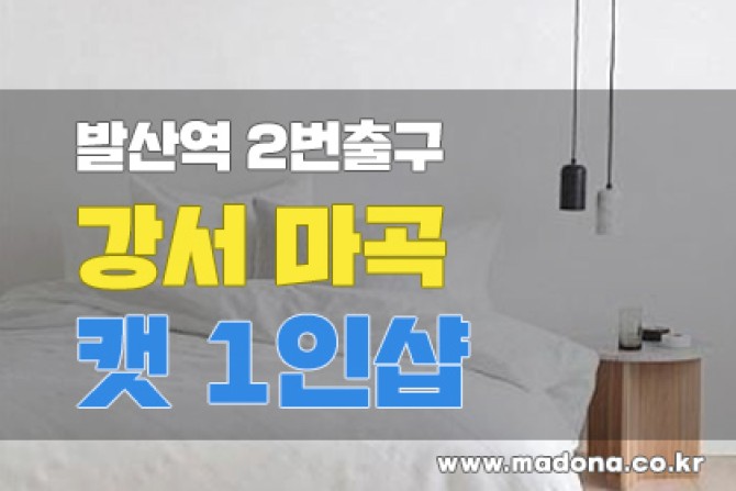 강서마곡-캣1인샵