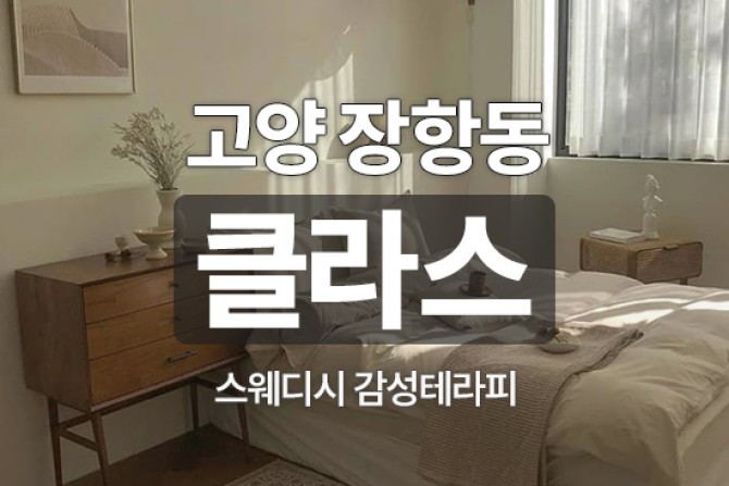 일산-클라스스웨디시