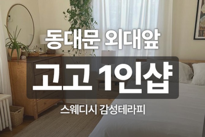 동대문-외대-고고스웨디시